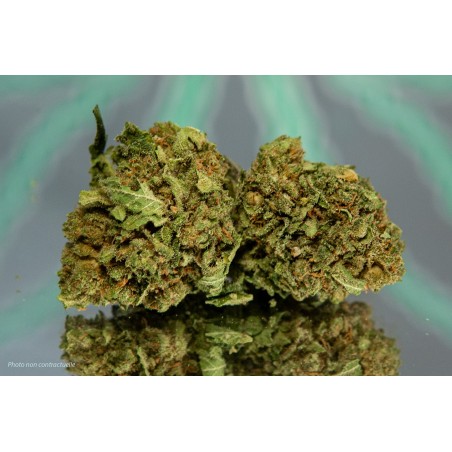 CHERRY SKUNK / INDOOR - 1gr