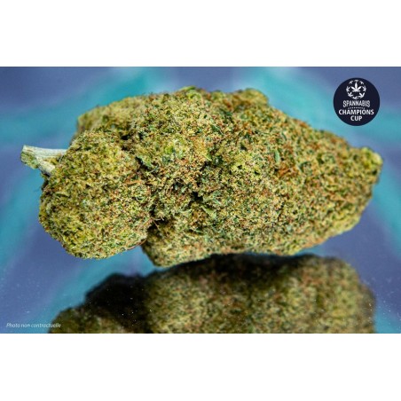 Miracle Alien Cookies – M. A. C. - 1gr