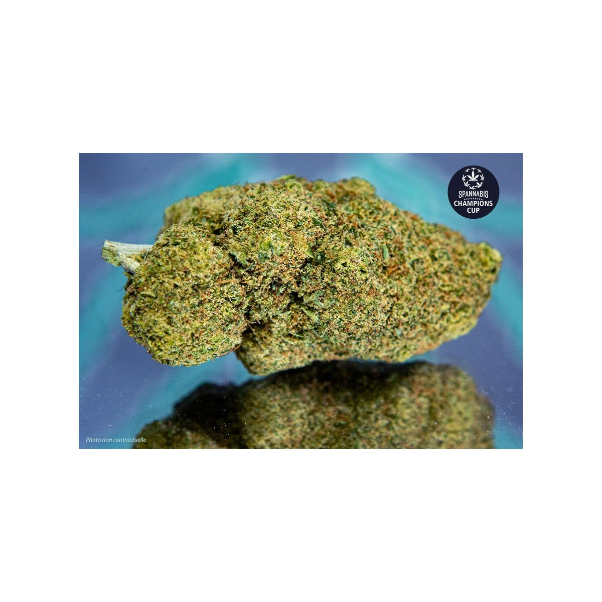 Miracle Alien Cookies – M. A. C. - 1gr