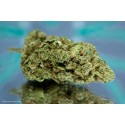 AMNESIA HAZE - 1gr