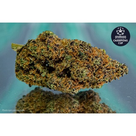 TROPICAL DREAM - 1gr