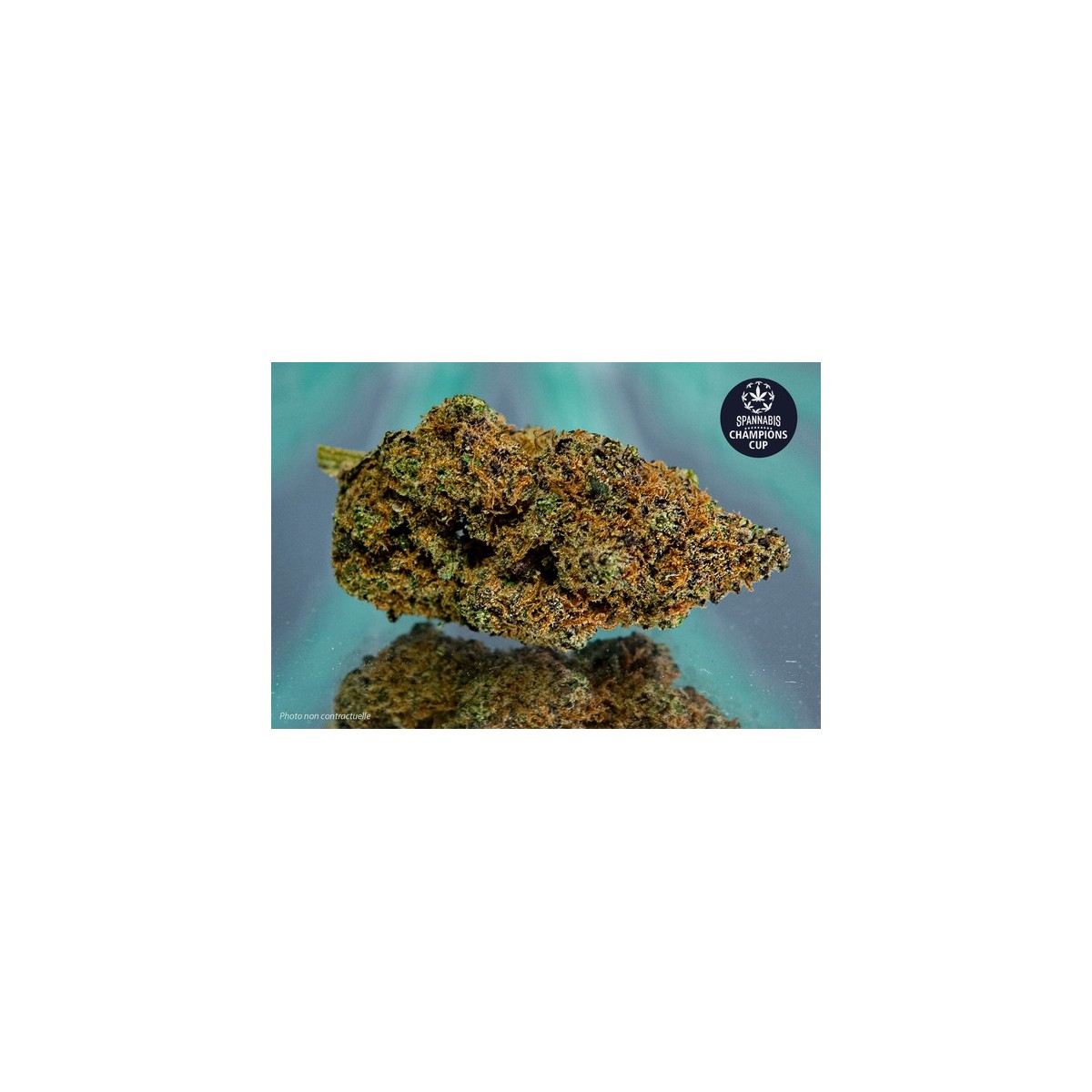 TROPICAL DREAM - 1gr