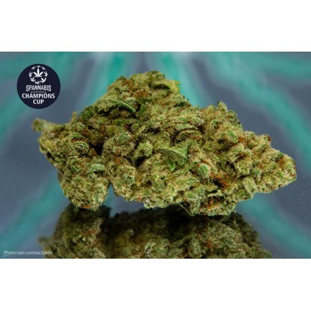 GORILLA MANDARINE - 1gr