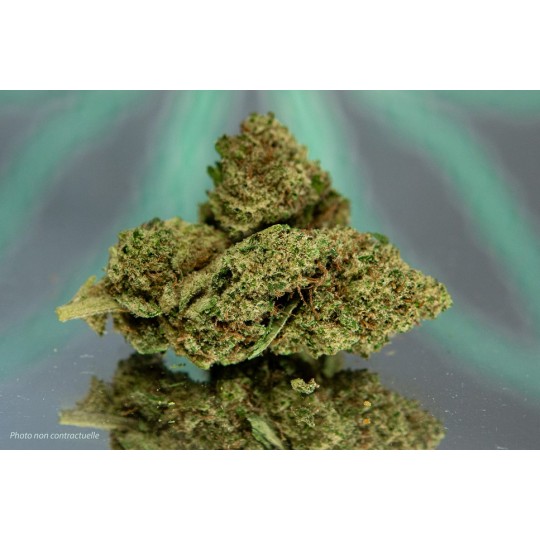 DURBAN POISON - 1gr