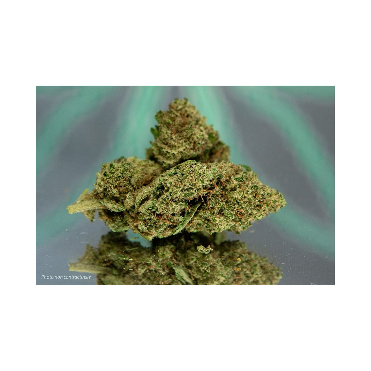 DURBAN POISON - 1gr
