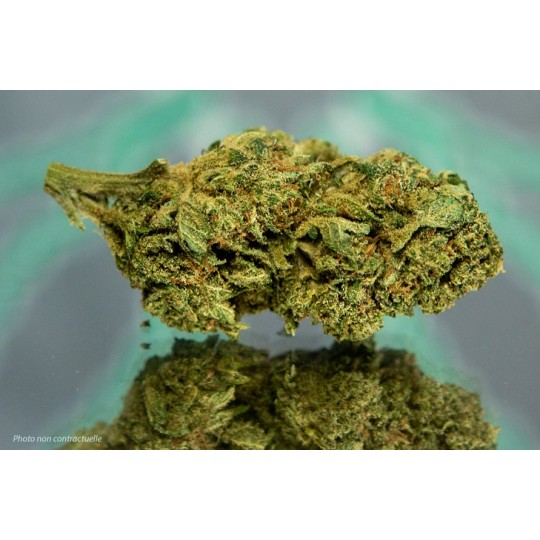 SOUR LIFTER - 1gr