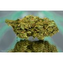 SOUR LIFTER - 1gr