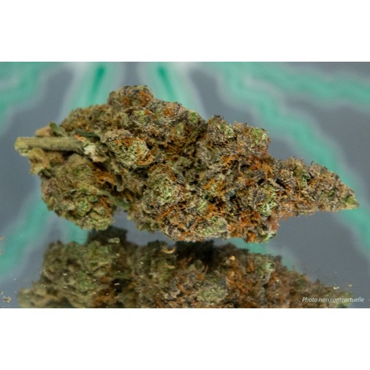 PURPLE HAZE - 1gr