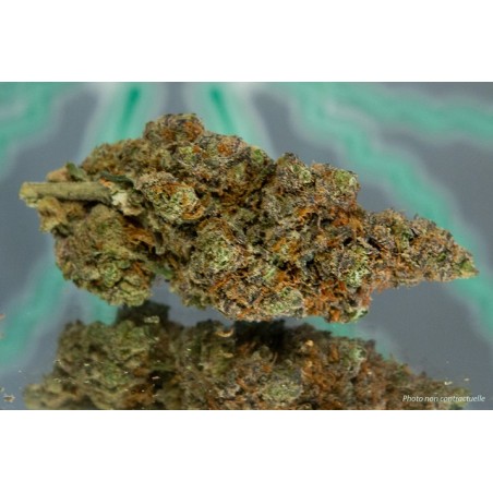 PURPLE HAZE - 1gr