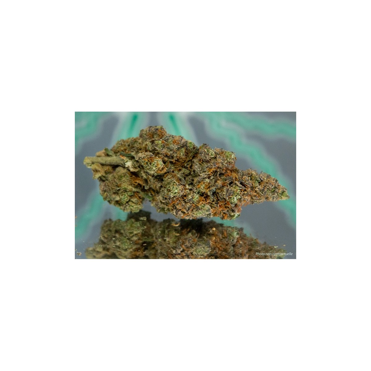 PURPLE HAZE - 1gr