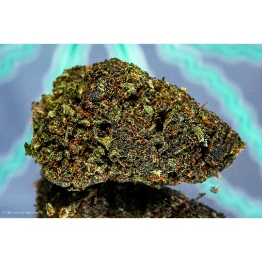 GANDALF – NÉOCANNABINÏDE - 1gr
