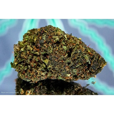 GANDALF – NÉOCANNABINÏDE - 1gr