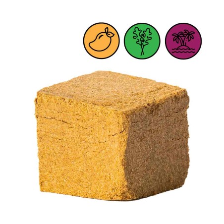 MANGO RAMBO - 2gr