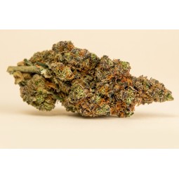 PURPLE HAZE 🇺🇸 - 2 g