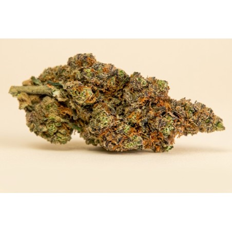 PURPLE HAZE 🇺🇸 - 2 g