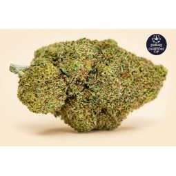 Miracle Alien Cookies 🍪 - 2 g