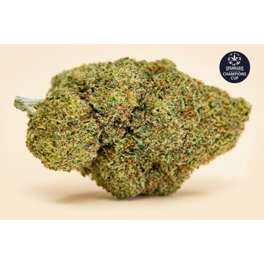 Miracle Alien Cookies 🍪 - 2 g