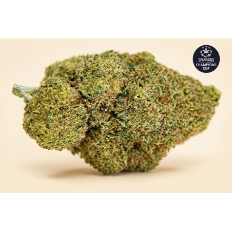 Miracle Alien Cookies 🍪 - 2 g