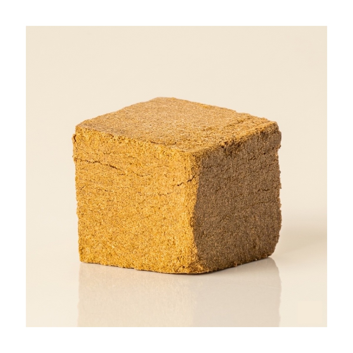 MANGO RAMBO 🥭 - 2 g