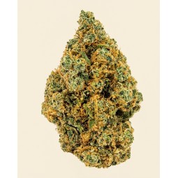 BLUEBERRY MUFFIN 🫐🥧