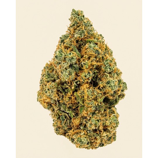 BLUEBERRY MUFFIN 🫐🥧