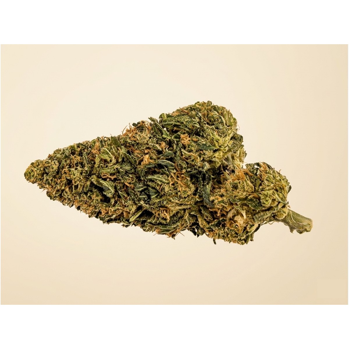 OBI WAN 🚀🚀🚀  CBD BOOSTE - 2g