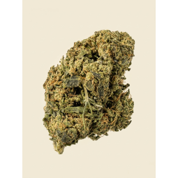 XXX 🚀 - CBD BOOST - 2g