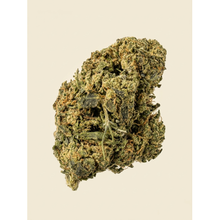 XXX 🚀 - CBD BOOST - 2g
