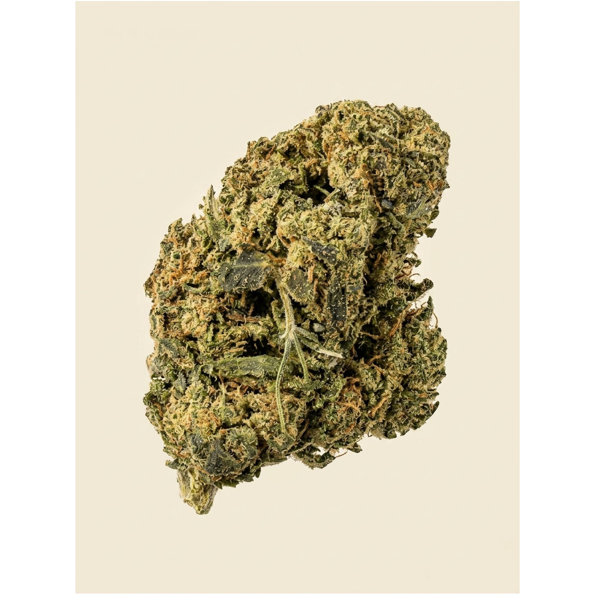 XXX 🚀 - CBD BOOST - 2g