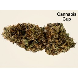 DARK SAPHIR 🏆🍭 - 2 g