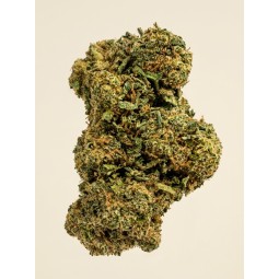 ORANGE BUD 🚀🚀🚀 CBD BOOST - 2 g