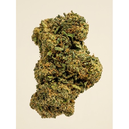 ORANGE BUD 🚀🚀🚀 CBD BOOST - 2 g