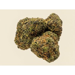 GARY PAYTON NBA🚀🚀- CBD BOOST- 2 g